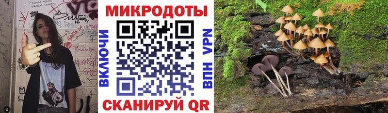 Купить  Чегем  Псилоцибиновые грибы Cubensis 
